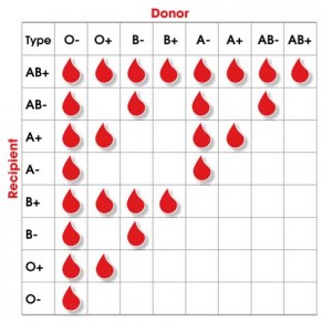 Abo System Chart