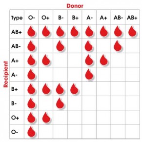 Blood Group Donor And Recipient Chart