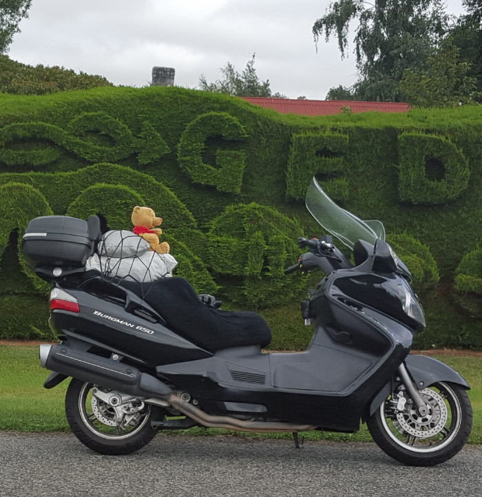 burgman 650