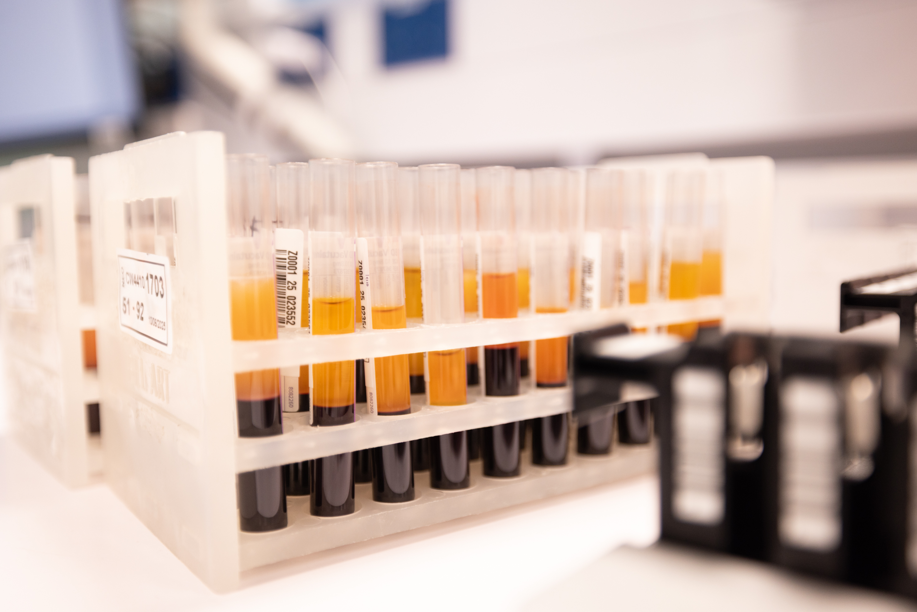 AO 10 06 2025 NZ BLOOD 0695