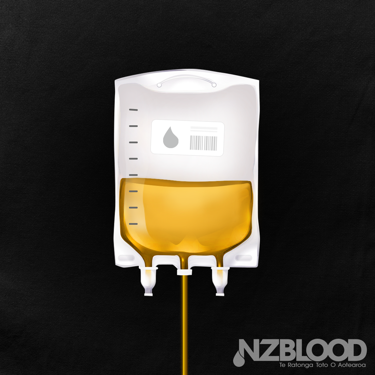 NZB Dec Plasma 1200x1200 3
